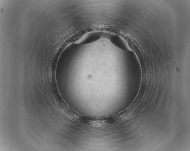 X0000087380508200704271600