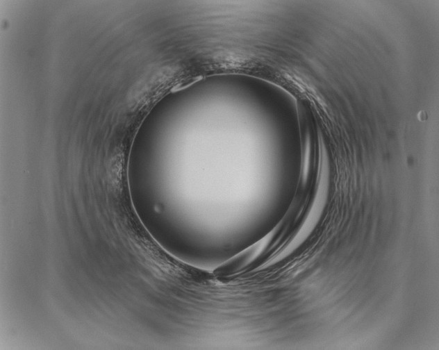 X0000087380509200704271600