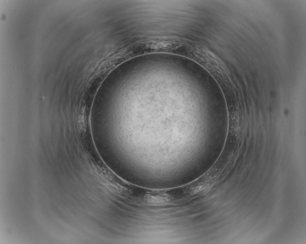 X0000087380510200704271600