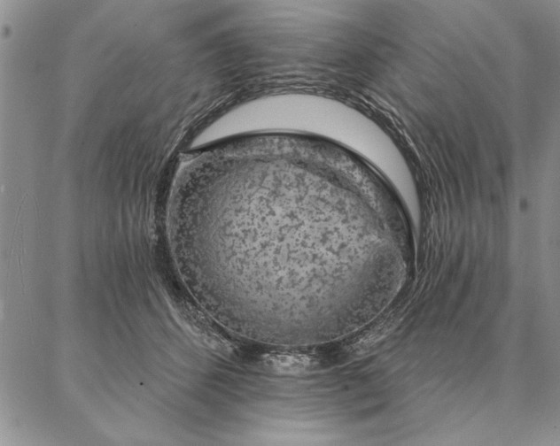 X0000087380512200704271600