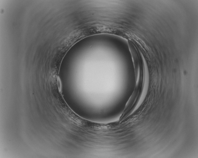 X0000087380513200704271600