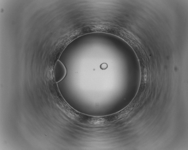 X0000087380514200704271600