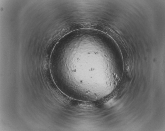 X0000087380515200704271600