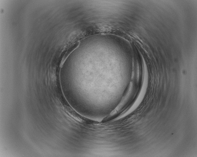 X0000087380516200704271600