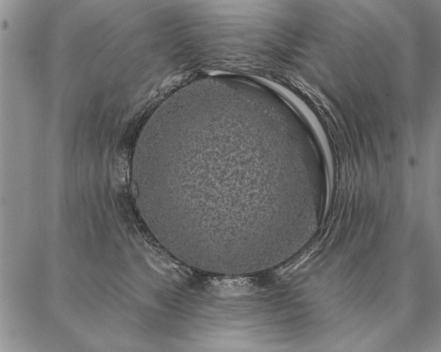 X0000087380517200704271600