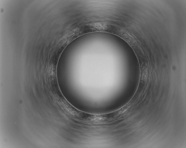 X0000087380518200704271600