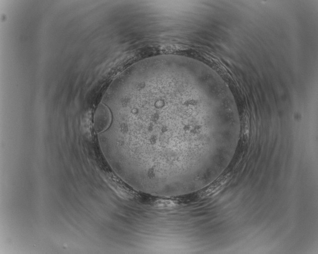 X0000087380519200704271600