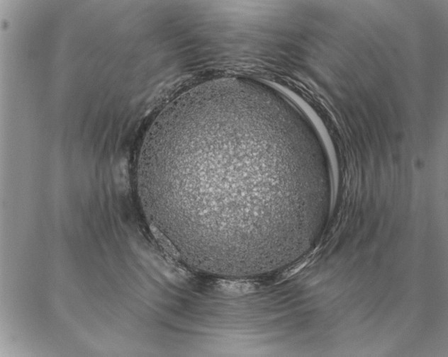 X0000087380520200704271600