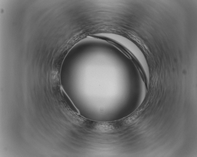 X0000087380521200704271600