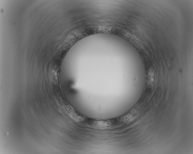 X0000087380522200704271600