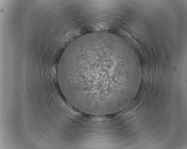 X0000087380523200704271600