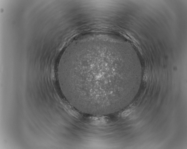 X0000087380524200704271600