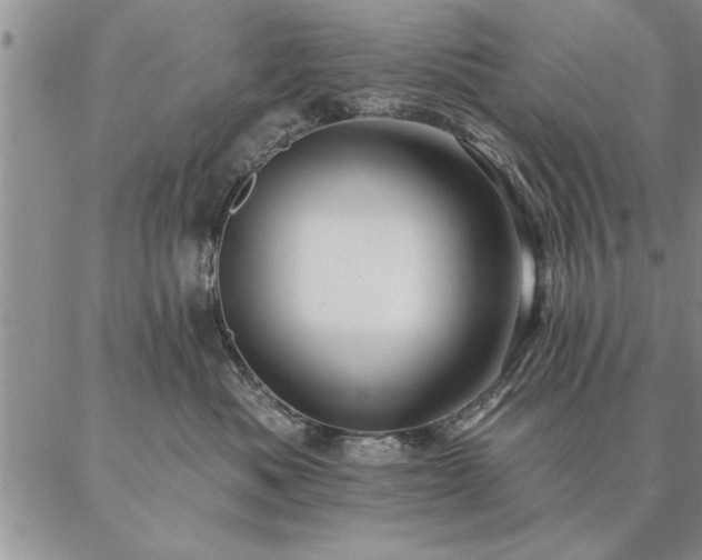 X0000087380525200704271600