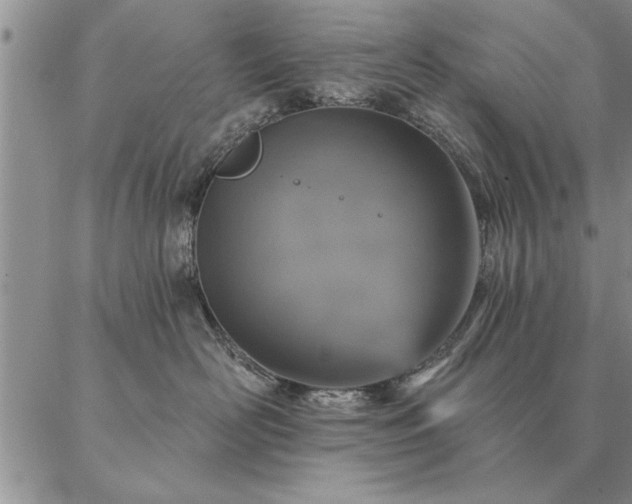 X0000087380526200704271600