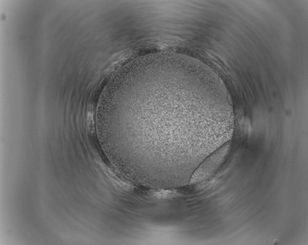 X0000087380527200704271600