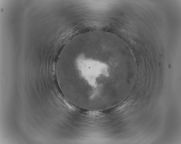 X0000087380528200704271600