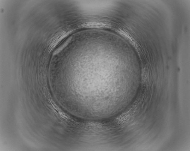 X0000087380529200704271559