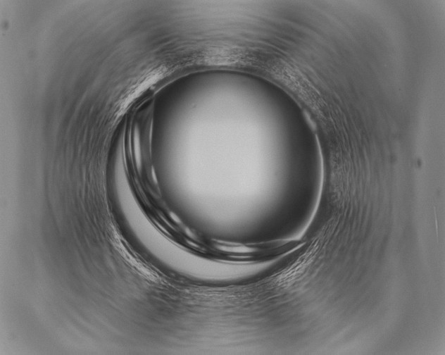 X0000087380530200704271559