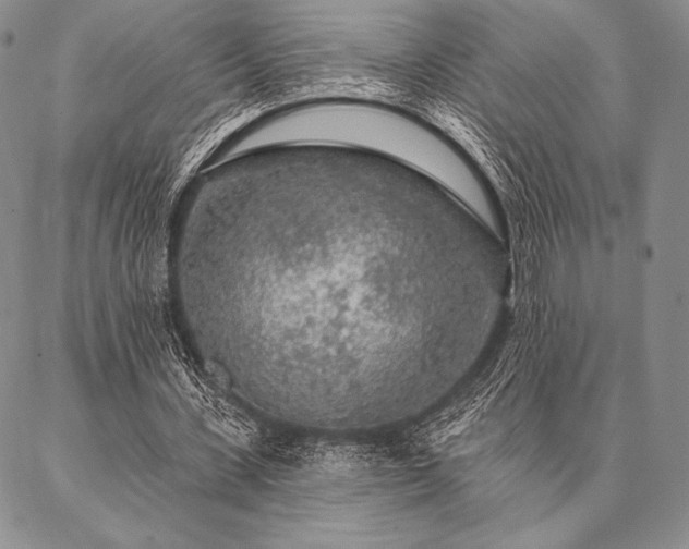 X0000087380531200704271559