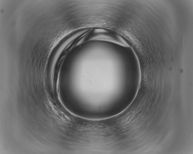 X0000087380532200704271559