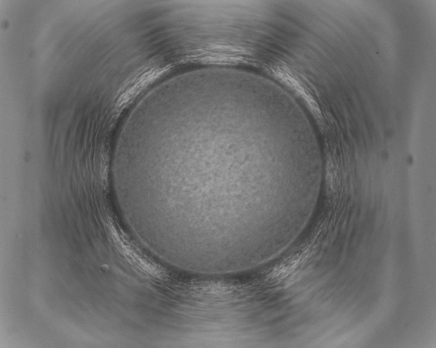 X0000087380533200704271559