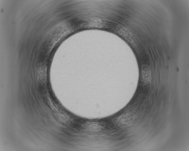 X0000087380534200704271559