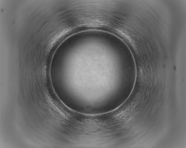 X0000087380535200704271559