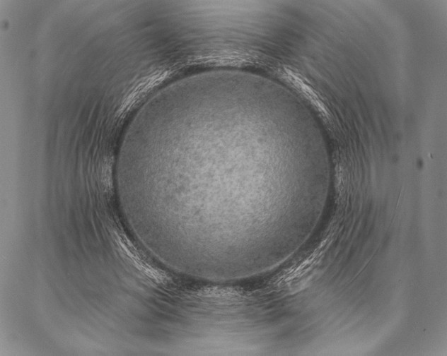 X0000087380537200704271559