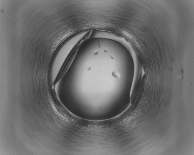 X0000087380538200704271600