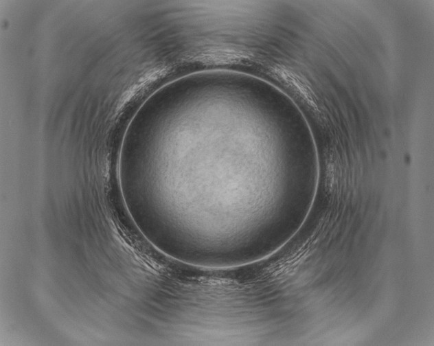 X0000087380539200704271600