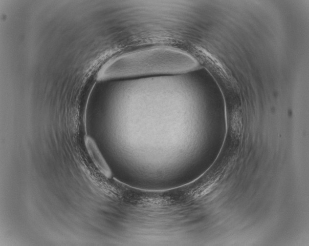 X0000087380540200704271600