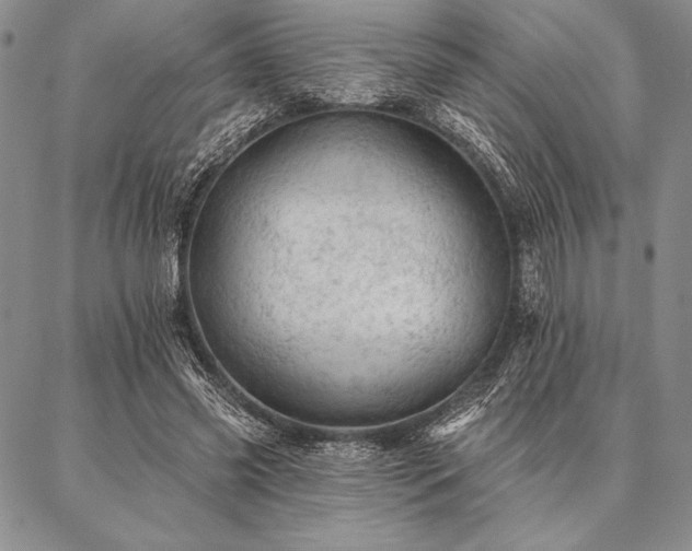 X0000087380541200704271600