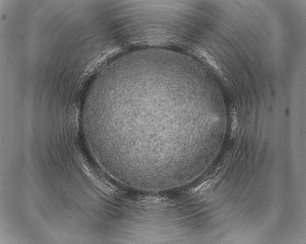 X0000087380542200704271600