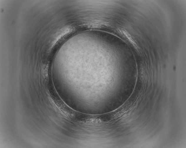 X0000087380543200704271600