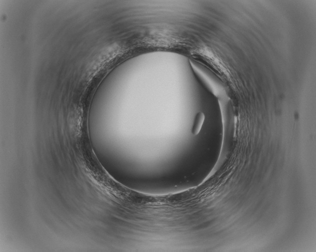 X0000087380544200704271600