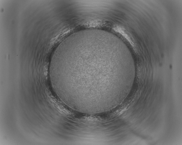 X0000087380545200704271600