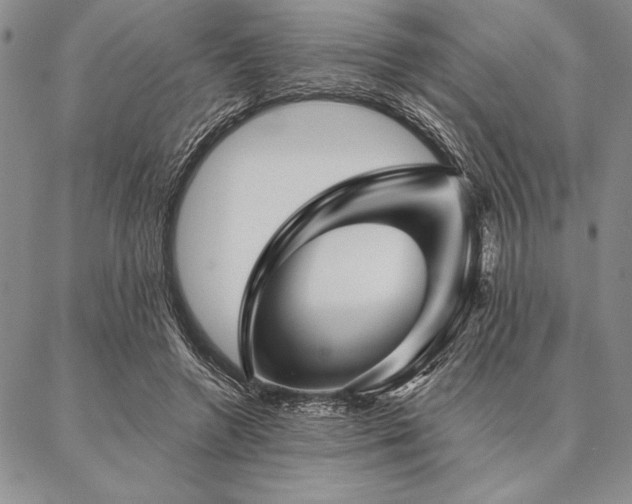 X0000087380546200704271600