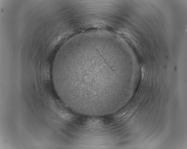 X0000087380547200704271600