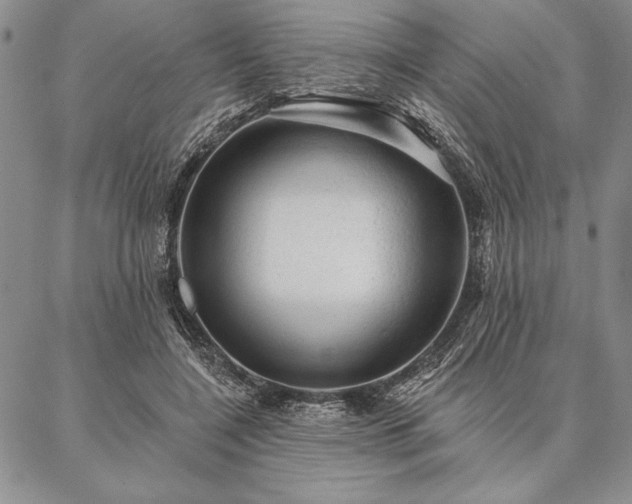 X0000087380548200704271600