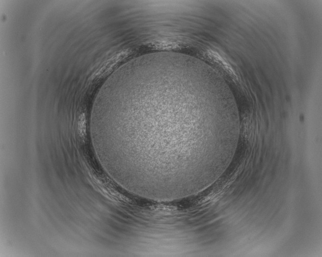 X0000087380549200704271600