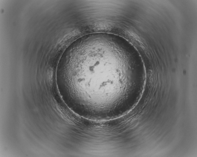 X0000087380550200704271600