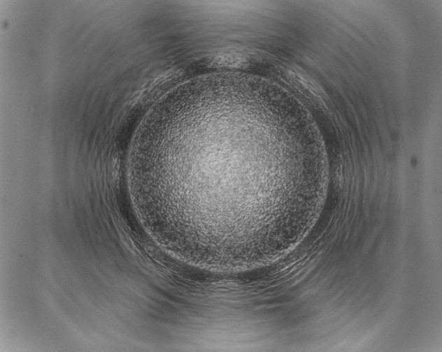 X0000087380551200704271600