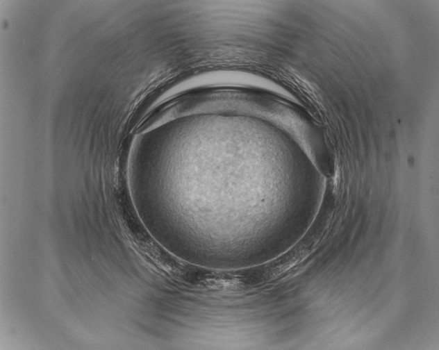 X0000087380552200704271600