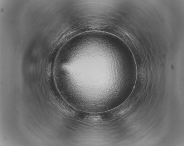 X0000087380554200704271600