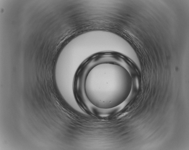 X0000087380556200704271600