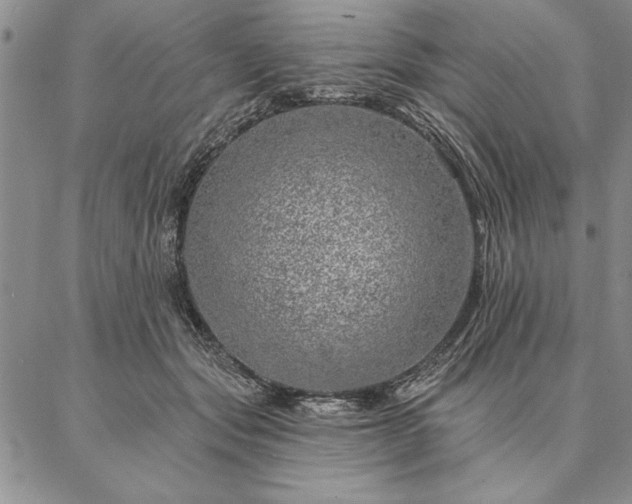 X0000087380557200704271600