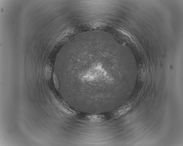 X0000087380558200704271600