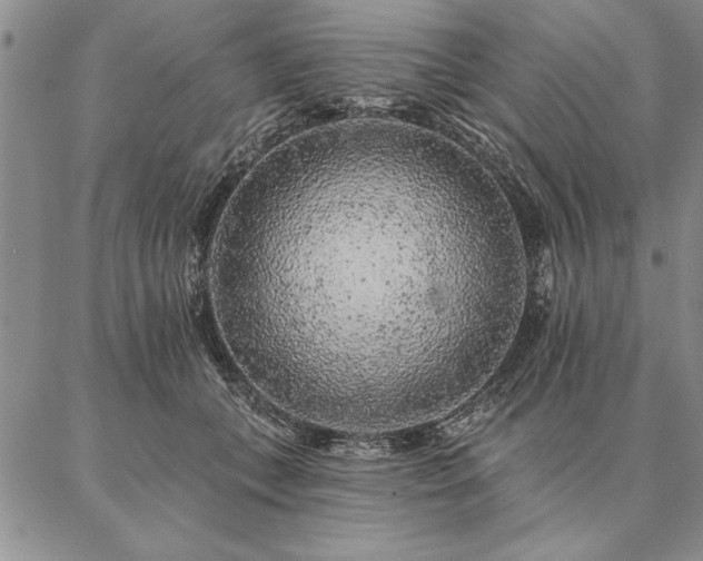 X0000087380559200704271600