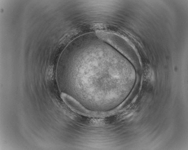 X0000087380560200704271600