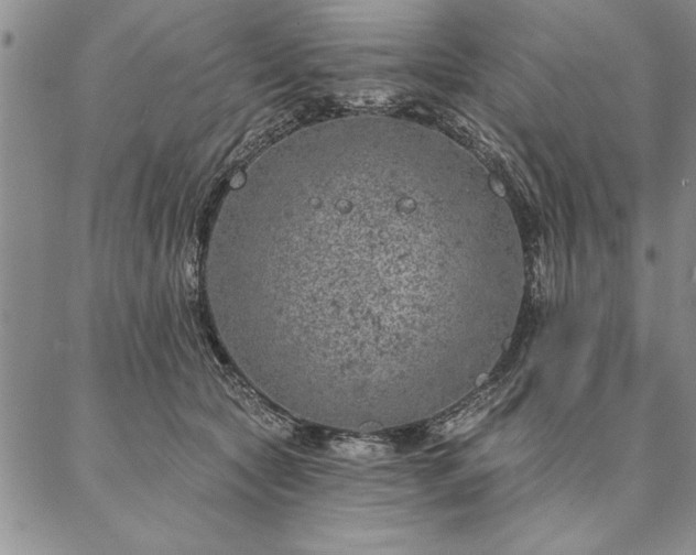 X0000087380561200704271600